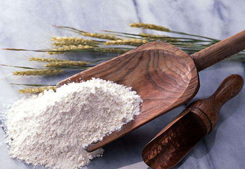 小麦淀粉加工厂