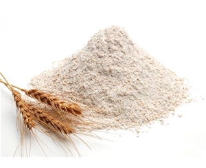 谷朊粉(活性面筋粉)